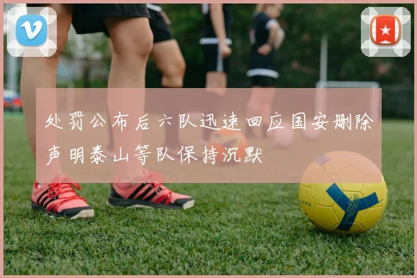 处罚公布后六队迅速回应国安删除声明泰山等队保持沉默